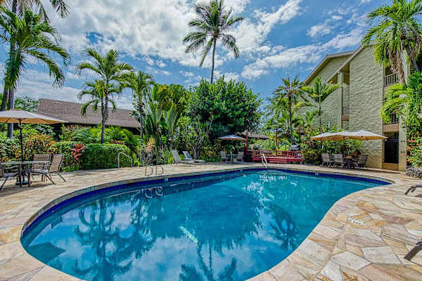 Tropical Pool Surrounded By Palms