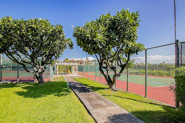 Landscaped Tennis Court Walkway Flanked by Flowering Frangipani Trees