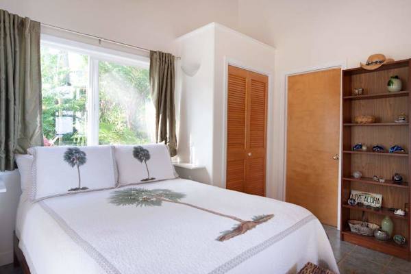 Sunlit Guest Bedroom with Palm Quilt Bedding & Bookshelf