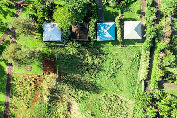 Direct Overhead Drone View of Property Lots & Lush Greenery