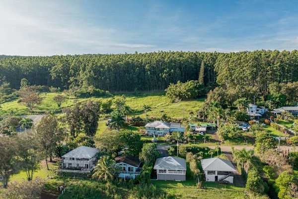 Aerial View of Coastal Neighborhood Nestled Against Tropical Forest