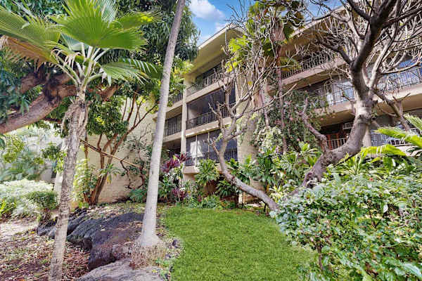 Exterior Building View Surrounded by Lush Tropical Landscaping