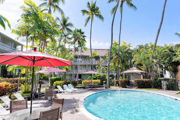 Poolside Paradise Under Swaying Palms