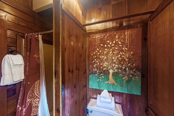 Full bathroom with walk-in shower.