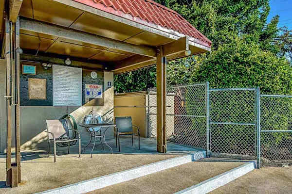 Covered Outdoor Patio with Seating and Shaded Lounging Area