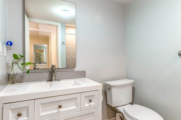 Clean Bathroom Vanity with White Cabinetry, Large Mirror, and Toilet