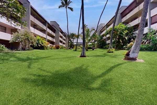 Lush Tropical Courtyard Lawn