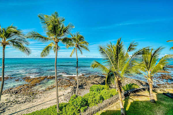 Palm Lined Paradise By The Pacific