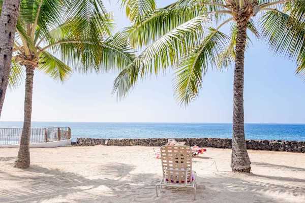 Oceanfront View featuring Sandy Beach, Palm Trees & Coastal Seating