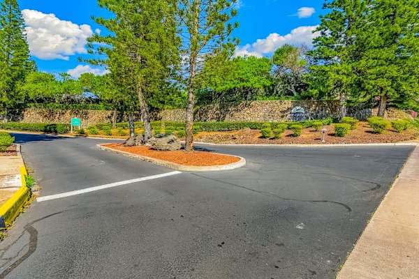 Scenic Tree Lined Resort Entrance