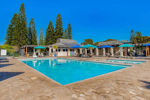 Sparkling Resort Pool Surrounded By Palms