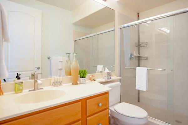 Guest Bathroom View featuring Vanity Mirror & Glass Shower Door