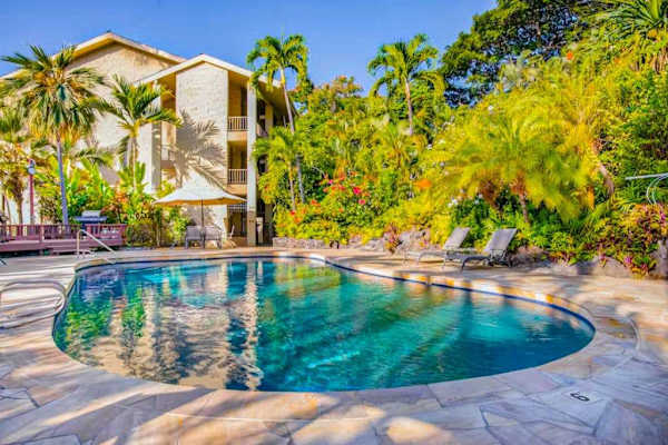 Sparkling Pool Surrounded By Palms