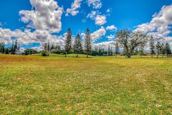 Expansive Green Spaces To Explore