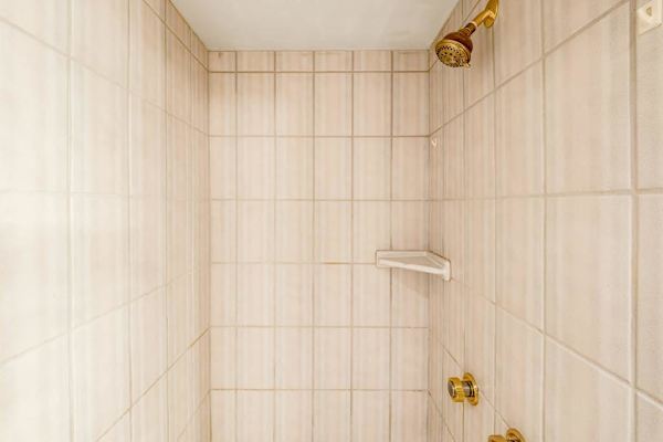 Spacious Walk In Shower With Spa Comfort