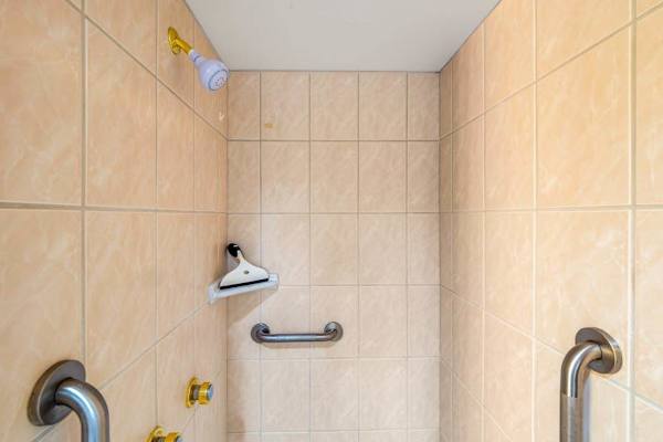 Walk In Shower With Safety Grab Bars