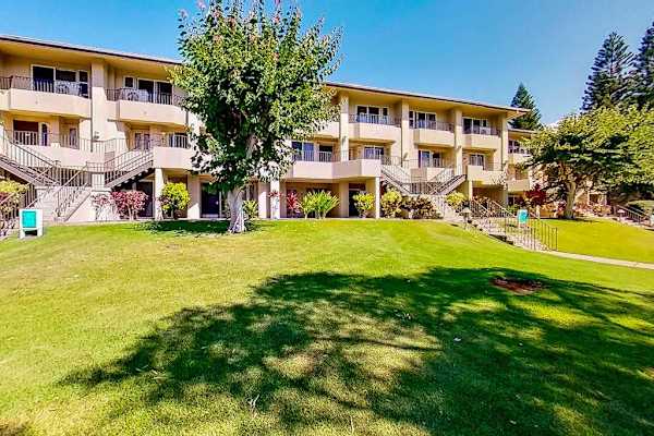 Beautiful Resort Grounds With Tropical Charm