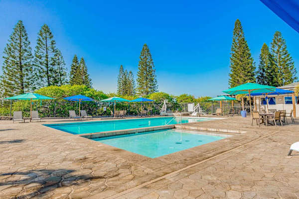 Sparkling Resort Pool Under Sunny Skies