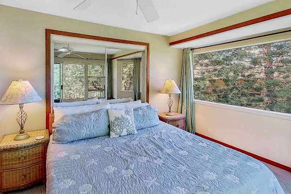 Peaceful Primary Suite With Nature Views