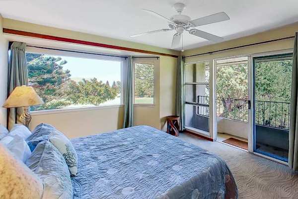 Wake Up To Lush Greenery Every Morning