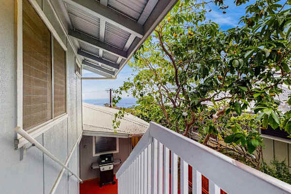 Side exterior walkway leads through landscaping beside the covered entrance