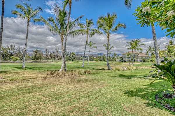 Palm Framed Island Grounds