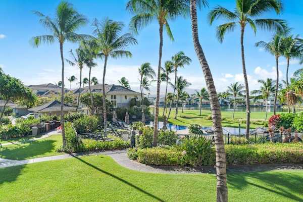 Lush Tropical Resort Gardens