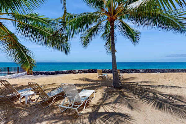 Palm-Lined Beach with Relaxing Ocean Views ⭐⭐⭐