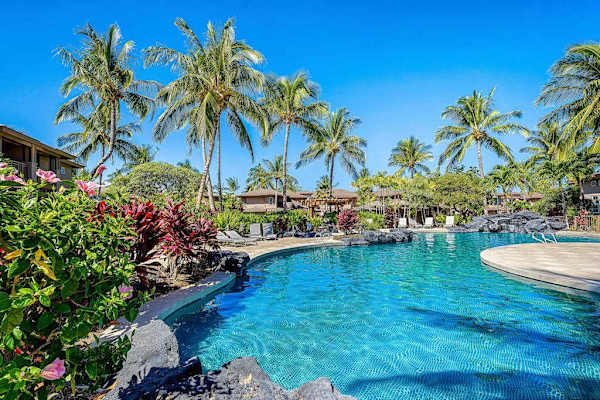 Dip Into Paradise: Sparkling Pool Amidst Exotic Greenery