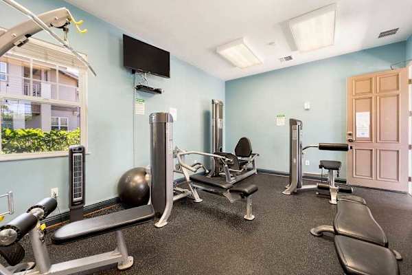 Modern On-Site Gym To Stay Active On Vacation
