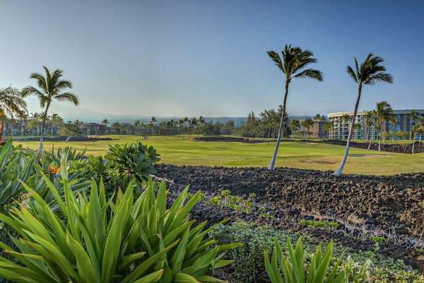 Scenic View of Nearby Golf Course Grounds & Lava Rock Details