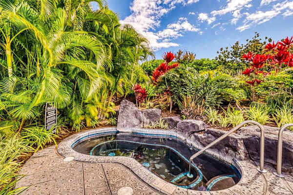Waikoloa Beach Villas N23