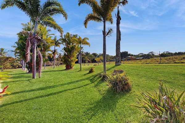 This exquisite one-bedroom apartment is nestled within a peaceful five-acre botanical estate, offering a serene retreat.