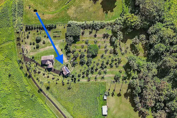 This exquisite one-bedroom apartment is nestled within a peaceful five-acre botanical estate, offering a serene retreat.
