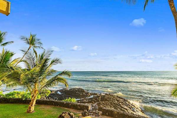 Lush Tropical Lawns Meeting Deep Blue Sea Breezes