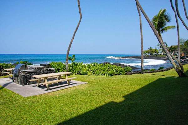 Lush Tropical Lawns Meeting Deep Blue Sea Breezes