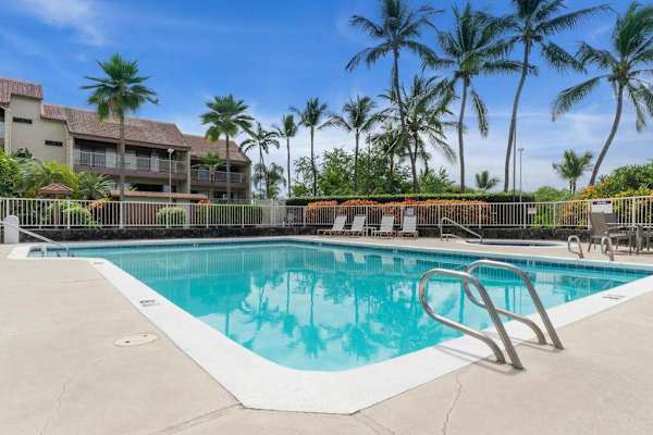 Resort swimming pool invites refreshing dips beneath swaying palms daily