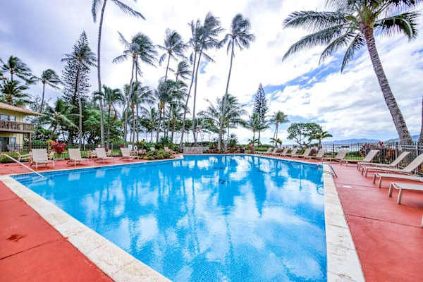 Resort Pool With Swaying Palms