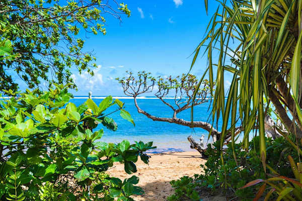 Hidden Ocean Views Through Tropical Paradise