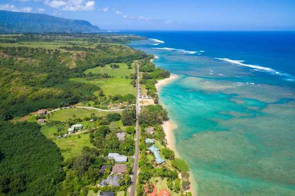 Tropical Canopy With Ocean Views Beyond