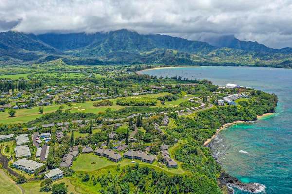 Endless Emerald Coastline Views
