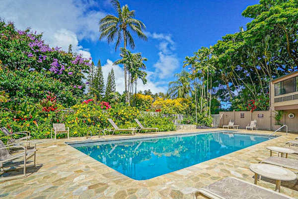 Palm Lined Pool Paradise