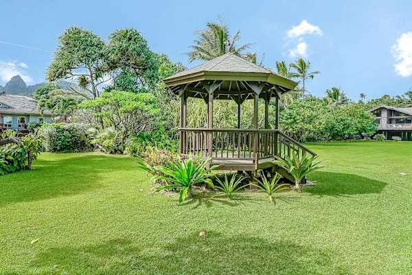 Expansive Backyard & Tropical Garden Retreat