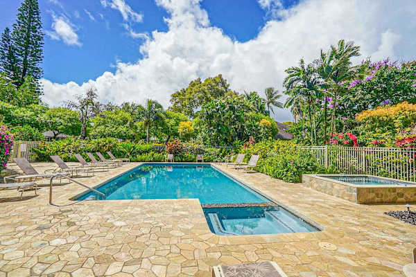 Tropical pool surrounded by lush trees and vibrant greenery