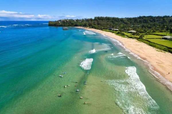 Oceanfront resort surrounded by lush tropical greenery
