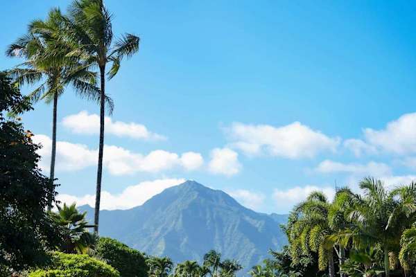 Scenic Bay Outlook with Mountain Backdrop
