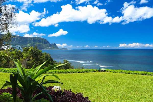 Breathtaking Ocean Views Surrounded by Tropical Palms