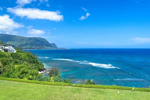 Stunning Kauai Coastal & Ocean Vistas