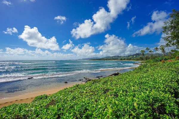 Endless Pacific Ocean Views