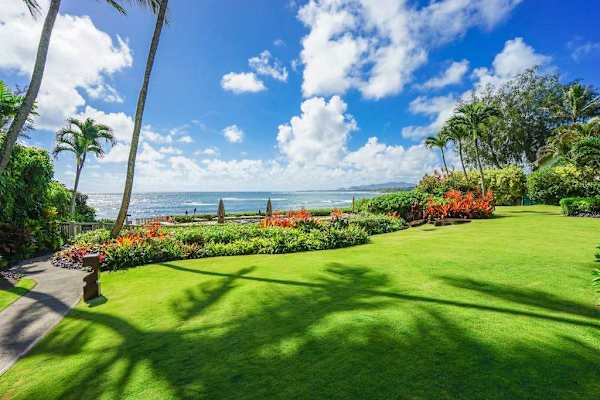 Expansive Ocean View Lawn